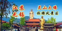 艹骚比江苏无锡灵山大佛旅游风景区